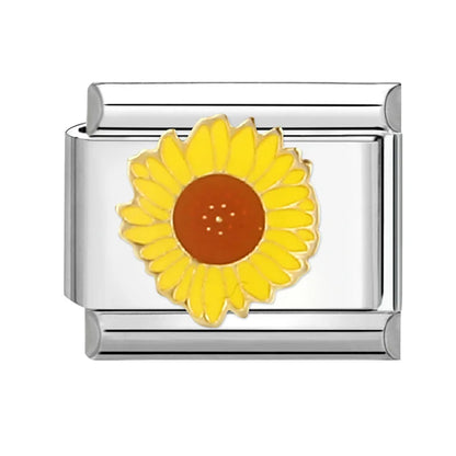49063625326927